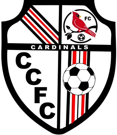Commonwealth Cardinals FC vs Ashland Town FC image